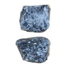 Chubby Seal Plush Pillow Cute Stuffed Animal Soft Ocean Toy 13 Inch