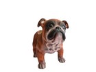 Vintage English Bulldog Planter