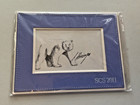 New Swarovski Siku Polar Bear Scs 2011 Signed Matted Print  Lithograph 1271720