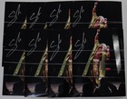 Sabu Signed 8x10 Photo Fmw Wwe Ecw Tna New Japan Pro Wrestling Picture Auto d 10