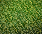 Christmas Quilt Fabric By Yard Metallic Gold Floral On Xmas Green Cotton Bh 10