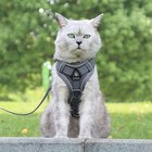 Dog Harness  Cat Harness And Lead Set  No Pull Dog Cat Harness  Soft Mesh