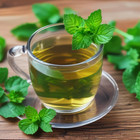 Spearmint Herb Seeds  Non-gmo  Heirloom Culinary Herb Garden Seeds