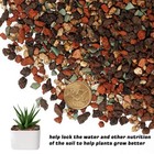 Mix Horticultural Lava Rock Pebbles-decorative Landscaping Gritty Rocks pumice P