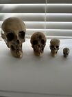 4 Original Randotti Skulls Large Skull  Voo Doo Skull  Pixie Skull   Small Skull