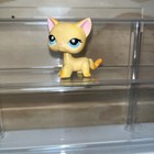 Littlest Pet Shop Lps 339 Authentic Orange Shorthair Cat Blue Eyes Retired  1
