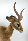 Hansa Plush Gazelle 2004 Stuffed Animal 22    H X 21    L Or 56cm H Rare Htf Nice