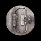 Veterinary Medicine 1980s Vintage Belt Buckle