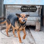 2 Pieces Dog Sign For Fence Beware Of Warning Signs Metal Aluminum Black