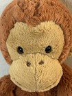 Jellycat Pongo Monkey Brown Plush Stuffed Animal  Small 16-18 In