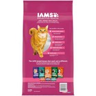  Proactive Health Urinary Tract Health Chicken Dry Cat Food  7 Lb Bag