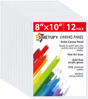12 Pack 8x10 Canvas Boards For Painting  Blank Flat Canvas Panels Art Paintin   