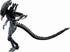 Hiya Toys Exquisite Mini Series 1 18 Scale 5 Inch Aliens Alien Warrior Blue Acti
