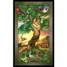 Tarot Grand Luxe New Deck And Book Set By Ciro Marchetti  2019  3x5  Cards