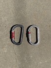 2x Petzl Carabiner Lot Am   d Twistlock And Ok Oval Screwgate