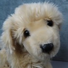 Fao Schwarz Golden Retriever Puppy Dog Plush Stuffed 20  Soft Body Realistic