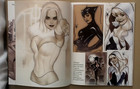 Adam Hughes Sketchbook   Signed Sdcc 2024   2025