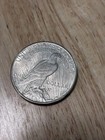 1923-s Peace Silver Dollar Us Mint  1 Coin San Francisco Raw Circulated 