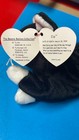 Ty Beanie Baby Zip The Cat