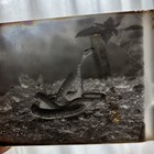 Antique Original Glass Photograph Negative Snake Serpent Odd Original Box