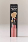 Brand New Anthropologie Sigma Essential Trio Three Brush Set Face And Eye Pink