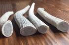 Sale   1 Pound Bargain Bone Elk Antler Dog Chews-m l Dogs-free Shipping