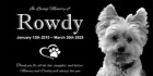 Custom Stone Memorial Grave Marker Granite Plaque Human Headstone Cat Dog