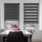 Changshade Window Blinds 85  Blackout Roller Anti Uv Sheer Shades Zebra Shade