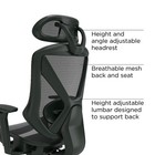 Staples Dexley Mesh Task Chair Black  56946 