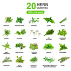 20 Culinary   Medicinal Herbs - 7000  Heirloom  Open-pollinated  Non Gmo Seeds