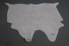 100  New Cowhide Rugs Area Cow Skin Leather  47  X 47   Cow Hide Sa-969