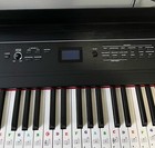 Alesis Recital Pro 88-key Hammer-action Digital Piano