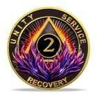 2 Year Sobriety Coin  Gold Aa Chip Medallion Alcoholics Anonymous Two Year Sober