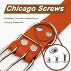 120 Sets Leather Belt Repair Rivets Kit Fasteners Chicago Screws For Leather    