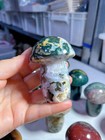 1pc Natural Ocean Jasper Stone Mushroom Quartz Crystal Carved Healing Gemrandom