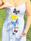 Real Butterflies 6 With Blue Morpho Adonis In Acrylic Case