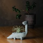 Brock The Brachiosaurus   Blob House Planter
