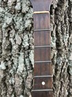 Early Five-string Banjo