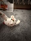 Ty Beanie Baby - 1998 Holiday Teddy  8 5 Inch  - Mwmt Stuffed Animal Toy