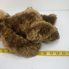 First   Main Plush    dimples    Teddy Bear Brown Stuffed Soft Cuddly Excellent