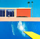David Hockney Lithograph Coa Original Signed In Pen Numbered In Pencil