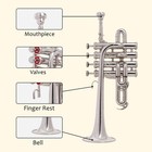 Piccolo Trumpet Chrome Finish Bba With Case And Mouthpiece
