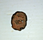 Sequoia Dakotensis Cretaceous Pine Cone Fossil Hell Creek Formation Montana