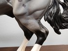 Breyer Blue Zeus  2024 Breyerfest Online Only Le Mustang Stallion Fireheart