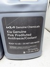 Kia Genuine Oem Pink 50 50 Antifreeze coolant- 1 Gallon Um020 Ch263   2 Pack 