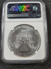     2019 1 Oz Silver American Eagle  1 Coin Ngc Ms70 Early Releases