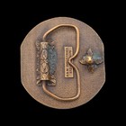 Veterinary Medicine 1980s Vintage Belt Buckle