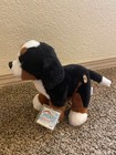 Ganz Webkinz Next 2025 Bernese Mountain Dog W  Sealed Code Nwt Plush Toy