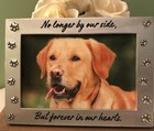 Pet Memorial Picture Frame Keepsake For Dog Or Cat  Perfect Loss Of Pet Gift    