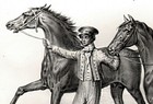 Horse Mecklenburger Hanoverian  Rare Antique 1840s Fine Copper Engraving Print